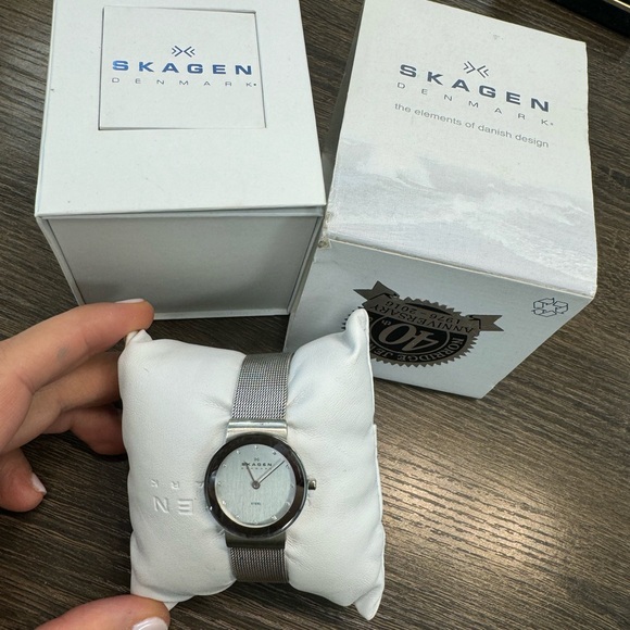 Skagen Stainless Steel Mesh Silver Dial Women's Watch